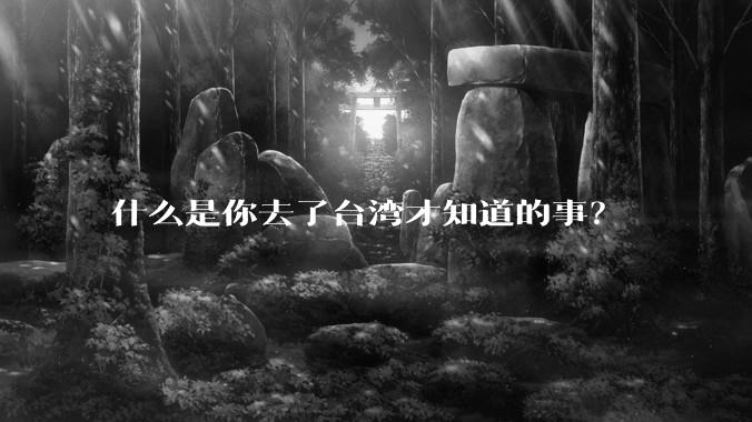 什么是你去了台湾才知道的事？