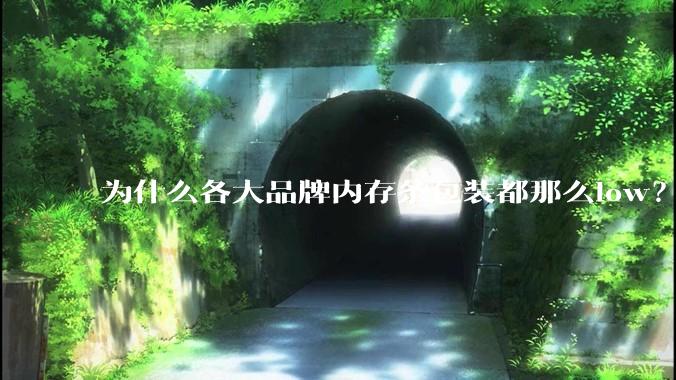 为什么各大品牌内存条包装都那么low？