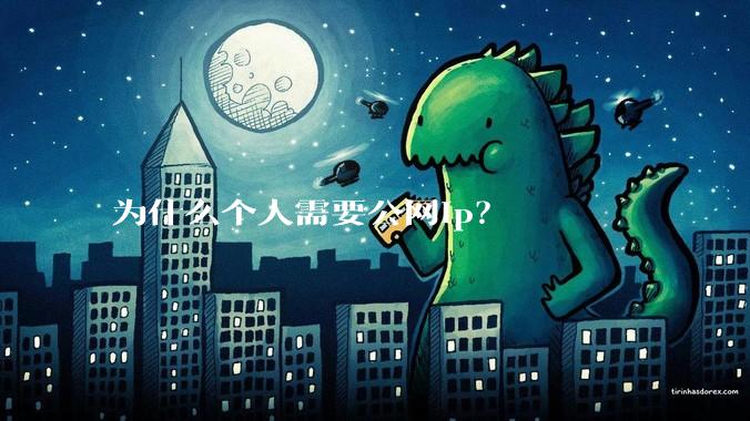为什么个人需要公网ip？