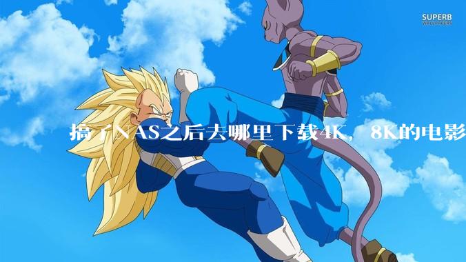 搞了NAS之后去哪里下载4K，8K的电影？