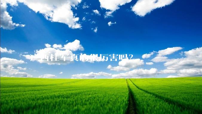广西桂军真的很厉害吗？