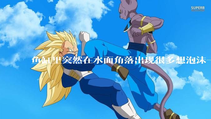 鱼缸里突然在水面角落出现很多想泡沫一样的气泡是怎么回事？