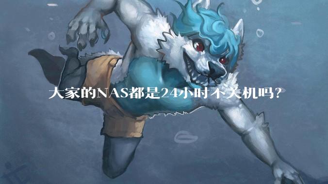 大家的NAS都是24小时不关机吗？