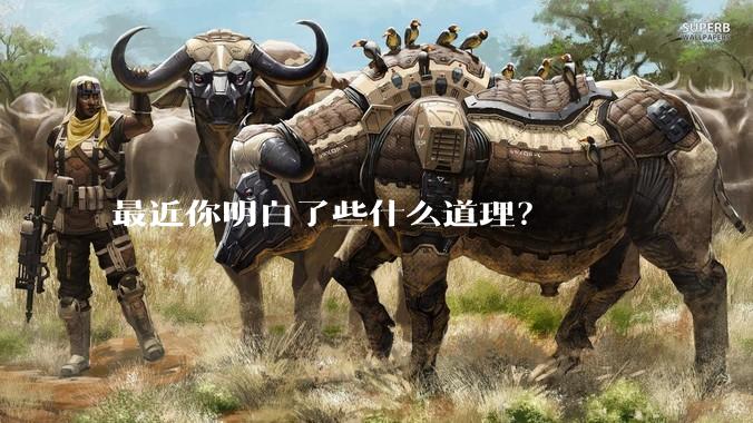 最近你明白了些什么道理？