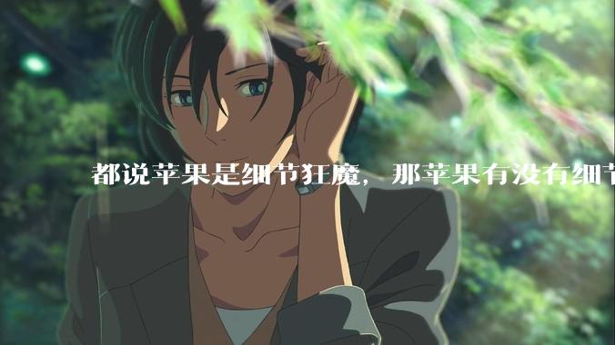 都说苹果是细节狂魔，那苹果有没有细节其实做的很差的点？
