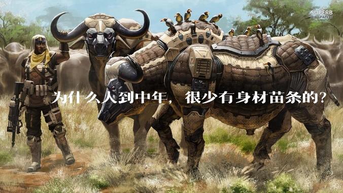 为什么人到中年，很少有身材苗条的？